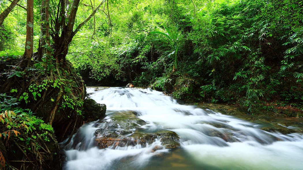 Environmental Policy